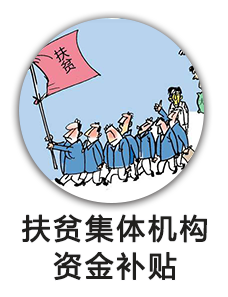 扶贫集体机构资金补贴