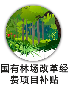 国有林场改革经费项目补贴