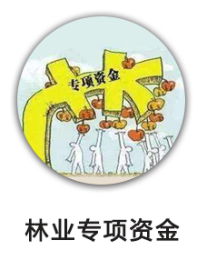 林业专项资金