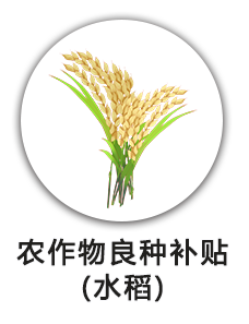 农作物良种补贴(水稻)