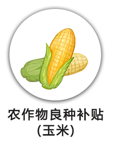 农作物良种补贴(玉米)