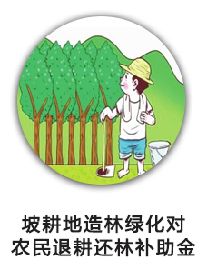 坡耕地造林绿化对农民退耕还林补助金
