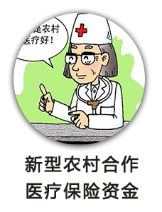 新型农村合作医疗保险资金